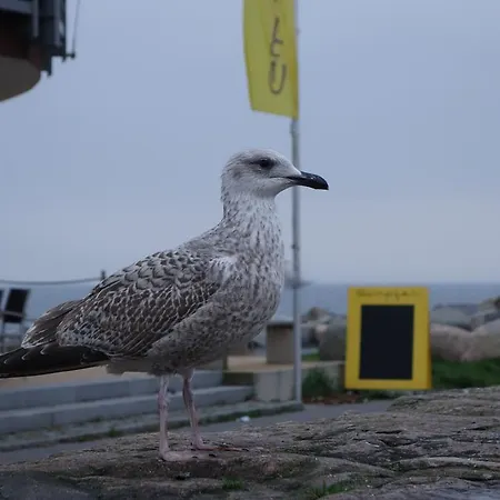Fürstenhof Apartment